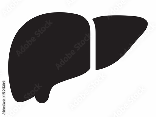 Human Liver Black Silhouette Vector . Medical Anatomy Digestive System Icon Illustration