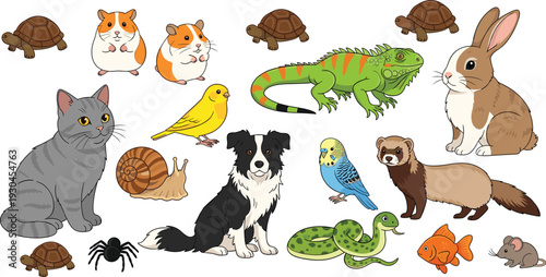 Cute pet and exotic animal collection with cat dog rabbit hamster turtle parrot iguana snake and ferret vector set