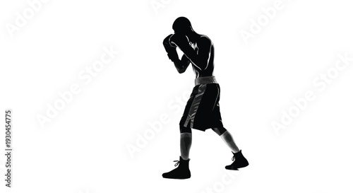 Silhouette of a boxer in fighting stance with boxing gloves on white background