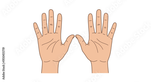 Vector graphic illustration of two human hands with palms facing each other closely