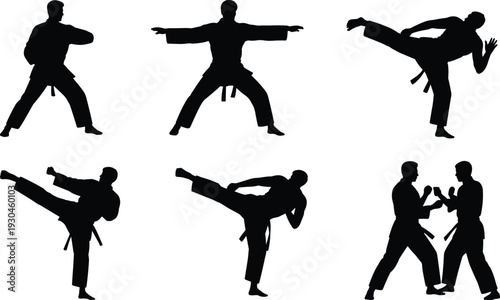 Martial arts silhouettes, karate taekwondo kung fu vector, fighting stance illustration, self defense clipart, combat training icon, sports discipline artwork