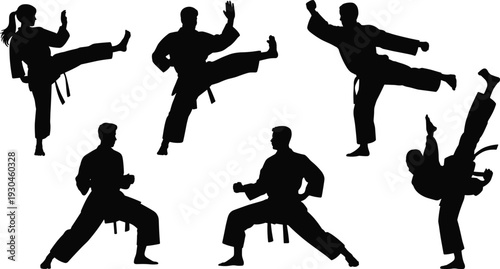 Martial arts silhouettes, karate taekwondo kung fu vector, fighting pose illustration, self defense clipart, combat training icon, sports discipline design