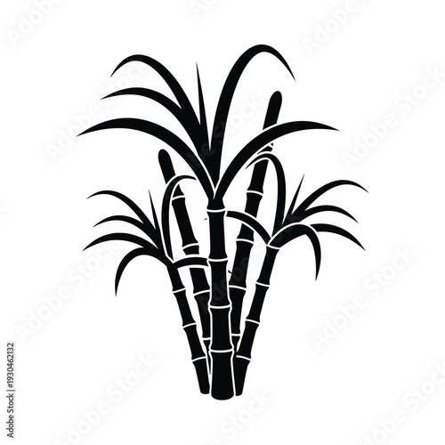 Black silhouette of sugar cane stalks on white sugarcane