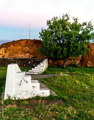 White concrete steps ascend a grassy hill, a tree beside them