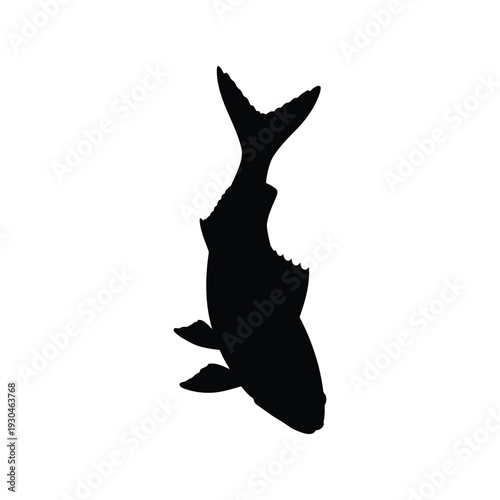 Silhouette of a Bitten Fish on White Background damaged