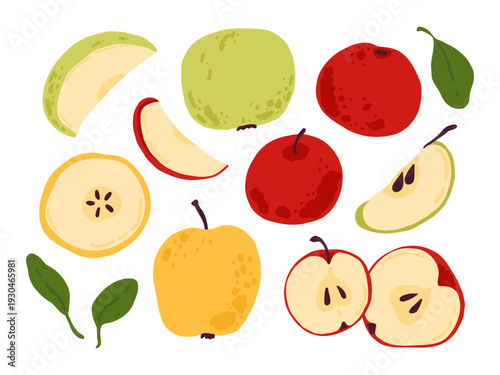 Fresh apple set. Whole, halves, slices and segment of summer fruits with leaves. Vector illustration on a white background.