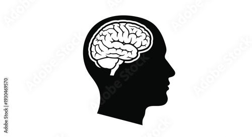 Human head profile with detailed brain illustration a striking silhouette