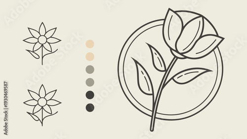 olive branch vector