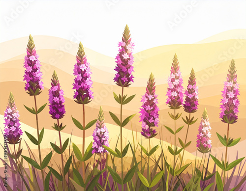 Marjoram Meadow Mirage