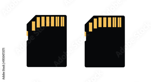 Two black sd cards with golden contacts displayed side by side