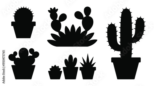 Black silhouettes of various cacti and succulents in pots