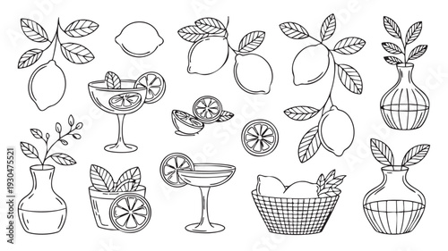 Collection of hand drawn lemon and cocktail illustrations in vector graphic style for barware and drink designs featuring lemons and margaritas together perfectly.