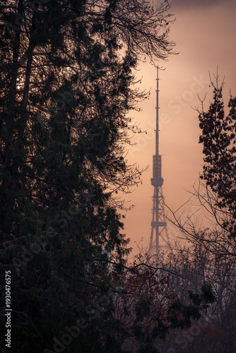 Silhouette of Yerevan TV Tower Through Winter Trees