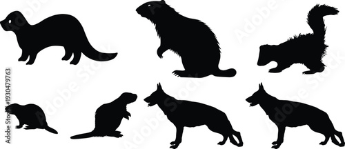 Mammal silhouette vector set. Ferret, beaver, skunk, rat and dog collection in black. Wildlife and domestic animal icons isolated for logo design and branding.