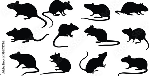 Rat and mouse silhouette vector set. Black rodent collection in different poses and angles. Pest animal icons isolated for biology education, logo design and wildlife graphics.