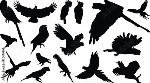 Bird of prey silhouette vector set. Flying eagle, hawk and owl collection in black. Wild raptor icons isolated for wildlife logo, tattoo, nature branding and graphic design.