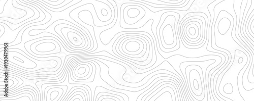 A Calm Minimalist Abstract Black and White Pattern with Flowing Contour Lines