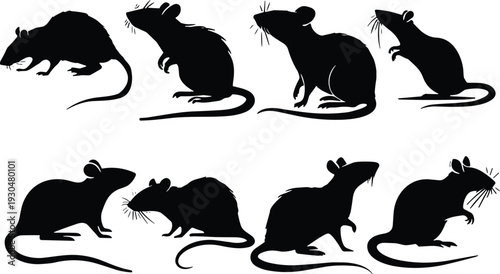 Rat silhouette vector set. Black rodent collection in sitting and standing poses. Pest animal icons isolated for biology education, logo design and wildlife graphics.