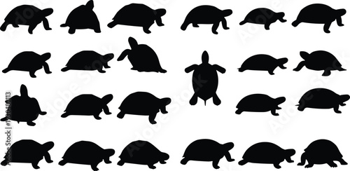 Sea turtle silhouette vector collection. Marine reptile icons in multiple walking and swimming poses. Ocean wildlife set isolated for logo design, aquarium branding and coastal graphics.