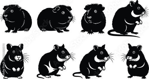 Guinea pig and hamster silhouettes collection isolated on white background, cute rodent vector illustration set