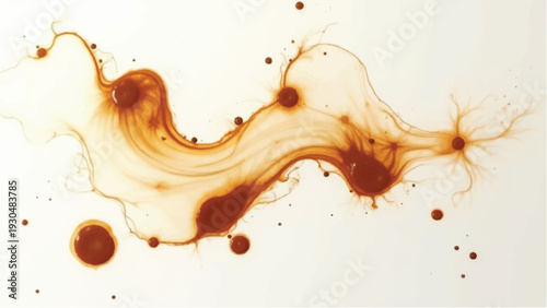 Coffee stains. Coffee stains isolated on a clean background. Coffee stains and drops.
