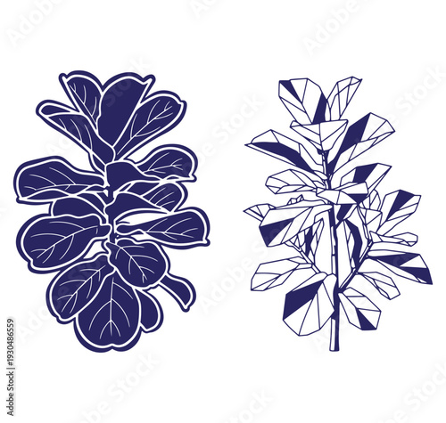Modern vector illustrations of fiddle leaf fig plants in two distinct graphic design styles