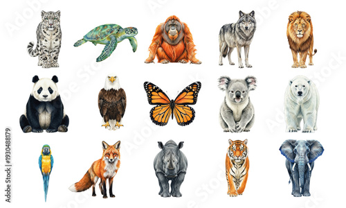 Wild Animals Day watercolor forest fauna set