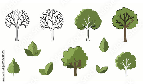 Hand drawn botanical tree and leaf vector collection with bare trees and lush green foliage isolated on white