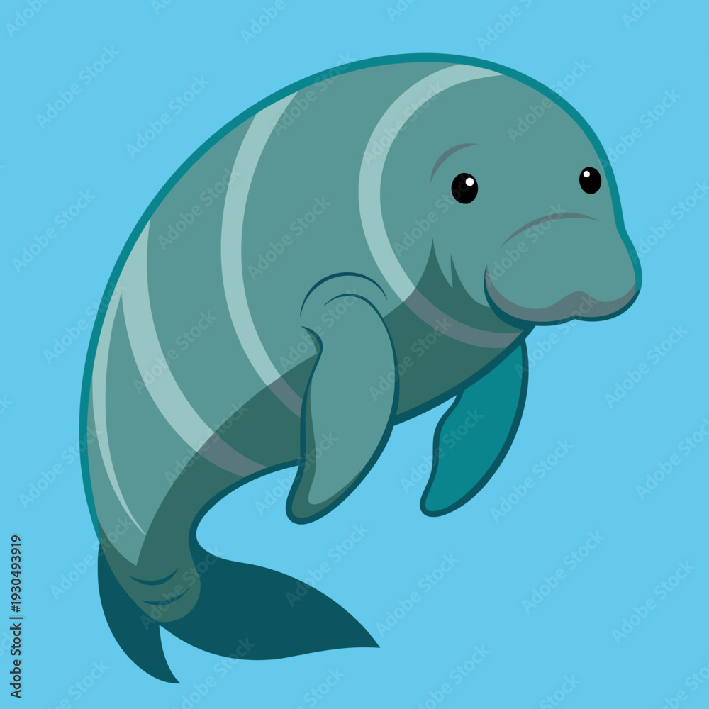 Naklejka premium A cute dugong swims in clear blue water