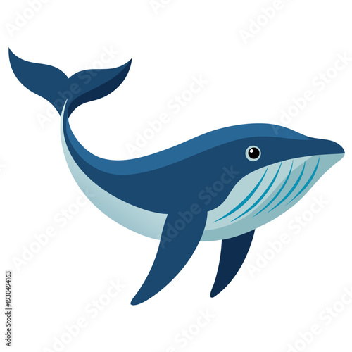 Blue Whale Illustration Isolated Transparent Background