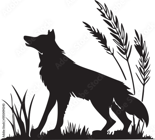 wolf in the grass