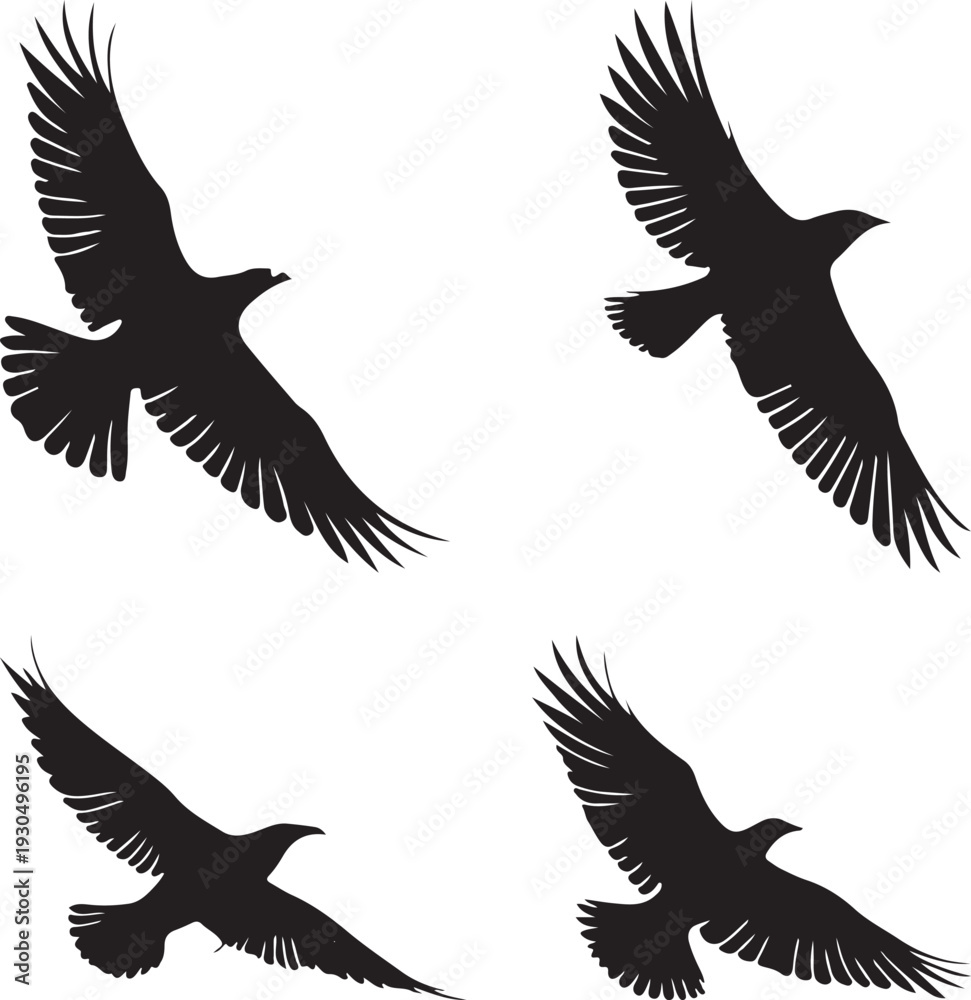 Fototapeta premium set of silhouettes of birds