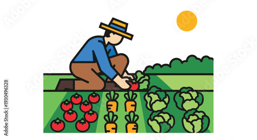 farmer harvesting fresh vegetables from a lush green garden on a sunny day