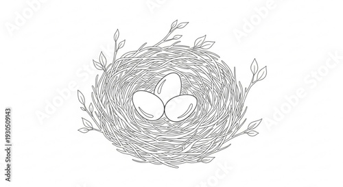 Bird nest with three eggs surrounded by leaves on white background