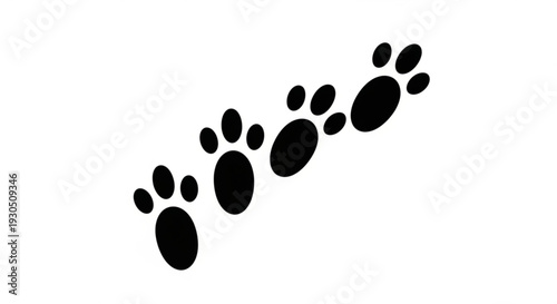 Black animal paw prints trail on white background footmarks in a line pet tracks