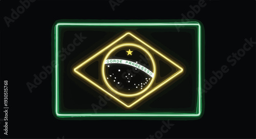 Brazil Flag Neon Light Sign Vector