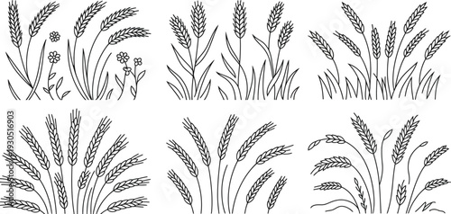 Wheat Grass Illustrations