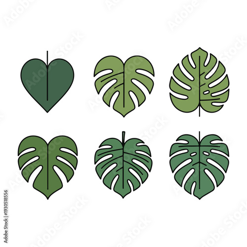 Monstera Deliciosa Leaf Illustrations Tropical Foliage Icons
