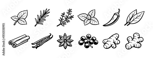 Spices and Herbs Icon Set – Minimalist Botanical Line Art Collection
