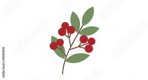 Cranberry Branch with Red Berries and Leaves.