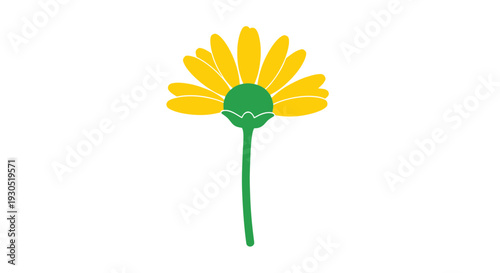 Simple Yellow Flower Illustration with Green Stem.