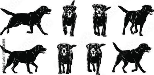 Black Labrador Retriever Silhouettes Set, Collection of Flat Dog Icons Walking and Running, Vector Illustration for Pet Care and Nature,