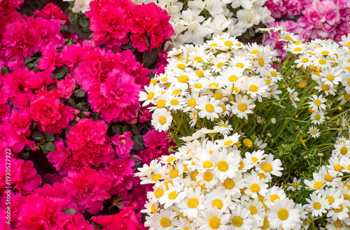 Bouquets of flowers at the ...