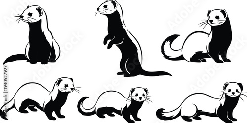 Weasel silhouette vector set in dynamic poses. Black and white standing and running woodland mammals. Minimalist wildlife illustration isolated on white background.