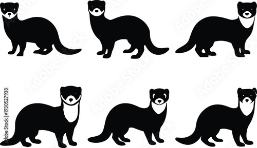 Ferret silhouette vector collection. Cute mustelid mammal in standing poses with mask face detail. Black wildlife animal icons isolated for logo design and pet branding.