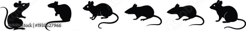 Mouse silhouette vector set. Small rodent collection in sitting and walking poses. Black animal icons isolated for logo design, biology study and pest control graphics.