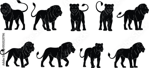 Black Lion Silhouettes Set, African King Lion and Lioness Standing and Walking, Vector Illustrations for Wildlife Safari Design and Zoo Logo.