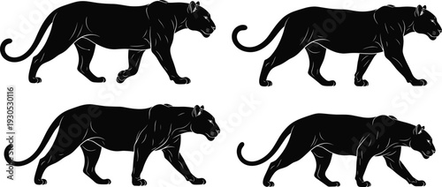 Black Panther Silhouettes Set, Walking Wild Cougar and Puma Collection, Flat Vector Illustrations of African Predator for Wildlife Safari Design,