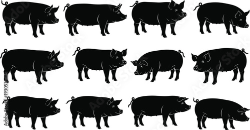 Black Pig Silhouettes Set, Collection of Flat Domestic Swine Icons, Vector Illustrations of Farm Animals for Agriculture and Butcher Shop,