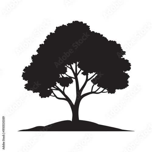 Silhouette of a tree with lush foliage and sturdy trunk isolated on transparent background